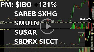 $IBO $AREB $XHG $MULN $USAR $BDRX $ICCT PM Top Stocks Replay & Review