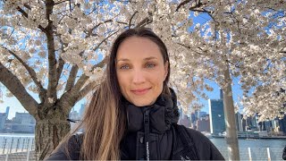 NYC LIVE 🌸 Cherry Blossoms in Queens & Roosevelt Island Walk