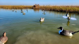 Kayak Duck Hunting  - South Texas