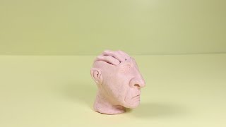 It can't be !!!  Plasticine cartoon