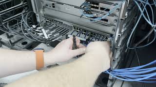 Sergeant Clip in Action (single 48 port blade)