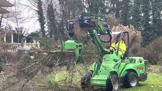 Bomen verwijderen Baarle Nassau