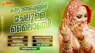 അടിപൊളി കല്യാണ പാട്ടുകൾ കേട്ടാലോ | TRADITIONAL MAPPILA PATTUKAL | TAJMAHAL ENTERTAINMENT