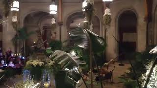 The Biltmore - Comfort and Joy