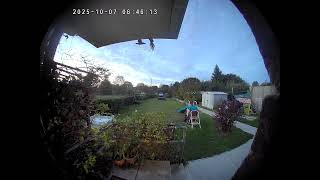 HERE IS EVEN EARLIER ON AND NOTHING ... SO WHAT CHANGED IN THE "ENVIRONMENT"???