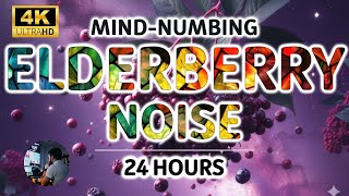 Mind-numbing Elderberry Noise For Anxiety and Stress Relief, Deep Sleep | Tinnitus Relief | 24 Hours