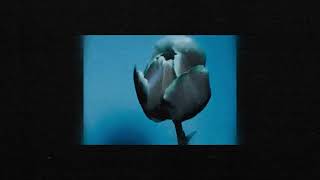 Nørus - Innature, Part V