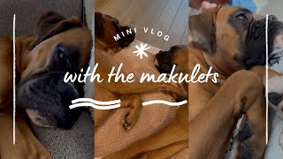 Sobrang kulit ng dalawa 🐶 *Nag pa-landscape kami 🥰 | DR-S FAMILY VLOGS