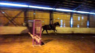 Hector video