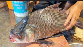 Amazing Catla Carp Fish Cutting Skills Ini Bangladesh Fish Market