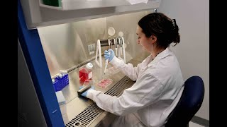 Can organoids unlock secrets of brain disease?