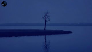[Playlist] it's ok, you're ok