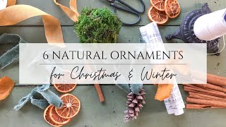 6 NATURAL ORNAMENTS FOR CHRISTMAS AND WINTER - DIY CHRISTMAS ORNAMENTS - CHRISTMAS CRAFT