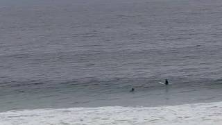 Burn Outs, Redondo Beach Thursday May 25th 10am - high tide small waves