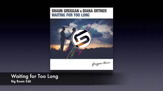 Shaun Greggan & Diana Ortner - Waiting for Too Long (Big Room Edit)