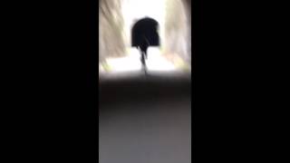 Titanic emotional flute short version