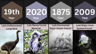 Last Discoveries on Earth (0000–2025)