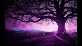 David Guetta ft.Sia - Titanium (24Severn EDC Trap Remix)