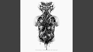 Viscera Revelation (feat. Pavyon Geceleri)