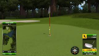 Golden Tee Great Shot on Forest Knoll!