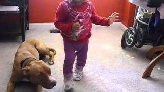 MJ& DA NEW DOBERMANN-GANG