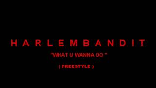 HARLEM BANDIT - WHAT U WANNA DO