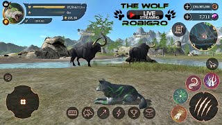 🔴LIVE - The Wolf 🐺 CooP Quest PvP 🐾