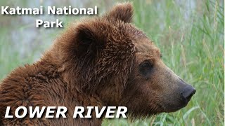 A Relaxing Walk with Bear Viewing on the Lower River - Katmai National Park.