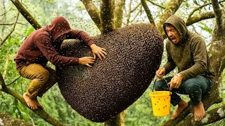BEE ATTACK CHAOS: Wild Honey Harvest at Extreme Heights