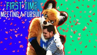 FIRST TIME - Meeting a Fursuit