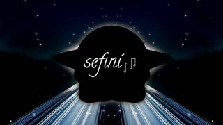 Worth a try - Leonell Cassio (ft. Serena Rutle) [NO COPYRIGHT MUSIC]