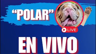 XAVI MONSI is live