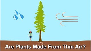 Are Plants Made From Thin Air?