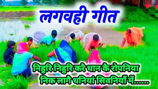 एकदम धमाकेदार धान रोपनी गीत dhan lagvhigeet kajari geet #kajari || अवधी लोकगीत #कजरी_गीत
