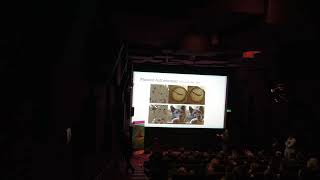 Learning From Biology: The Evolution of Self-Supervised Vision - Jordy de Lange