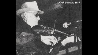 Old-Time TOTW #392: Sail Away Cindy (Noah Beavers) 12/28/25 #fiddle #illinois