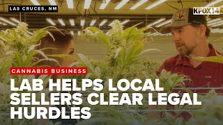 New in town: Doña Ana County's first cannabis lab eases testing hurdles for local sellers