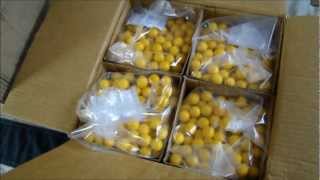 G.A. Swagbucks Paintball Unboxing