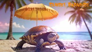 Sunset Paradise | Best Summer Music for Kids and Adults | Summer Vibe Songs 2024