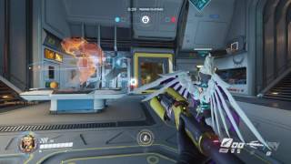Overwatch - Brawling