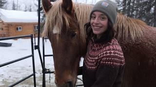 Completing Our Alaska Pack String for the Backcountry | Remote Alaska