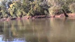 Sunday Morning on the Ocmulgee