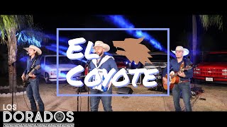 Los Dorados - El Coyote (En Vivo)