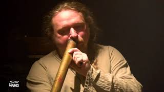 Pangea Trio und Feu Dias - Phytoacoustics @ Music for Plants