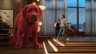 【でっかくなっちゃった赤い子犬　僕はクリフォード｜映画クリップ＋予告編】赤い子犬が一夜にして数十倍もでっかくなった！車よりもでかい！