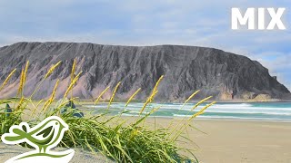 You Chill At A Norwegian Beach While Listening To Calm Piano Music