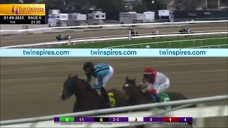 Fair Grounds Live