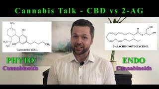Cannabis Talk - Cannabidiol (CBD) and 2-Arachidonoylglycerol (2-AG)
