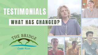 The Bridge Testimonials! What has changed?