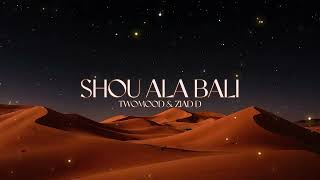 Bassima - Shou Ala Bali (TwoMood & Ziad D. Afro House Remix) باسمه - شو على بالي